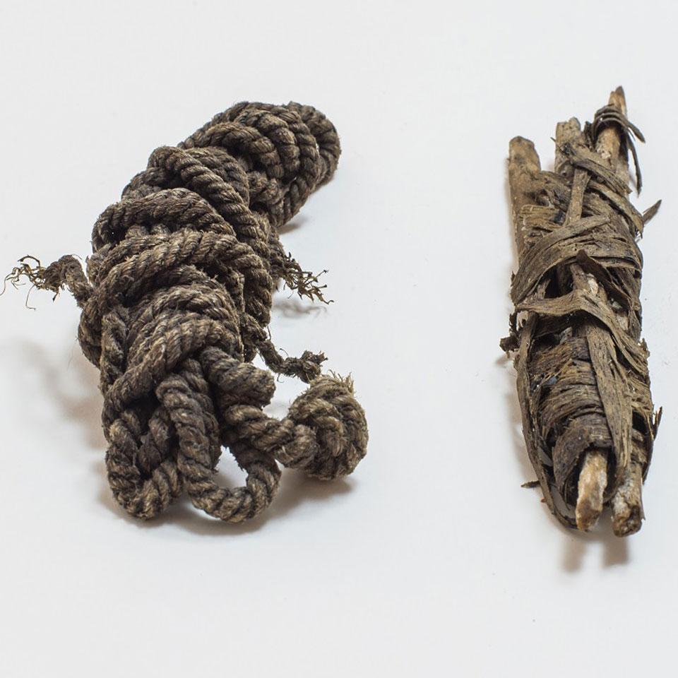A gauche, la corde analysée d'Ötzi et, à droite, des tendons d'animaux qui n'ont pas encore été travaillés. [Museo Archeologico dell'Alto Adige]