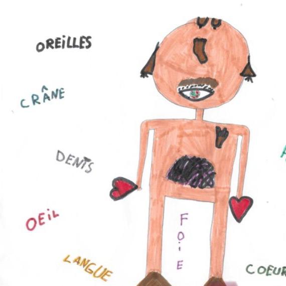 "Organes" par Lou, 8 ans. [Lou]