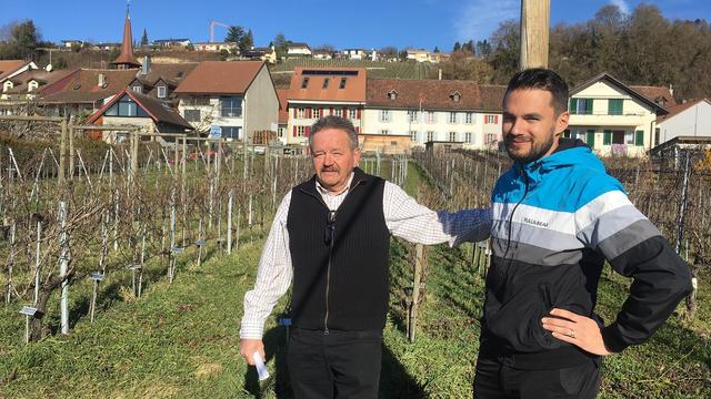 Eric Simonet, viticulteur-encaveur retraité, et Fabrice Simonet, ingénieur œnologue, propriétaires du Domaine du Petit Château à Môtier-Vully (FR). [RTS - Pierre-Etienne Joye]