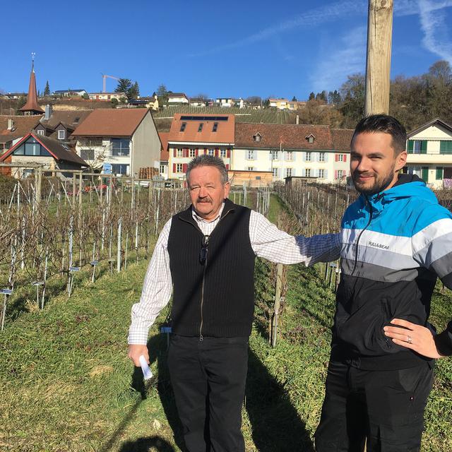Eric Simonet, viticulteur-encaveur retraité, et Fabrice Simonet, ingénieur œnologue, propriétaires du Domaine du Petit Château à Môtier-Vully (FR). [RTS - Pierre-Etienne Joye]