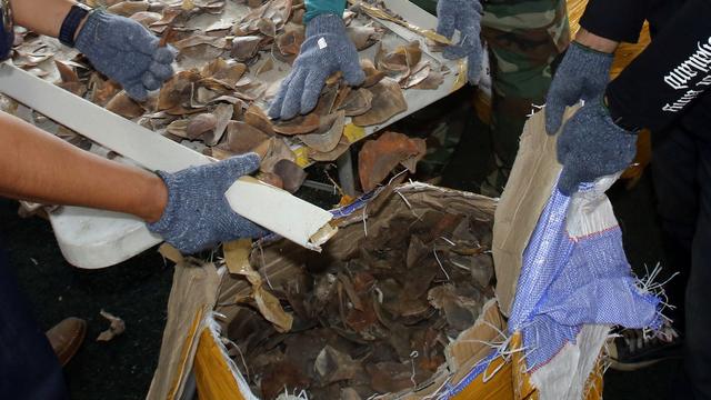 Les marchés qui vendent des animaux sauvages doivent être interdits, plaide le WWF. [AP Photo - Sakchai Lalit]