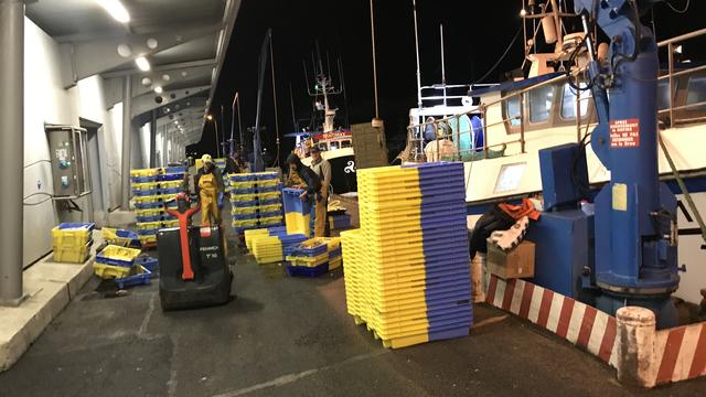 Vers 2h du matin, sur le port breton de Lorient, en France, les marins débarquent leur butin de pêche. [RTS - Alexandre Habay]