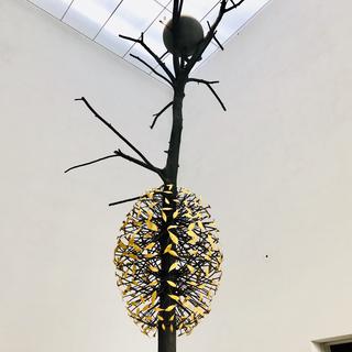 L'arbre de l'artiste italien Guiseppe Penone. [RTS - Karine Vasarino]