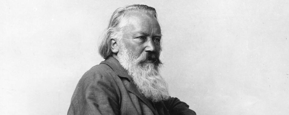 Portrait du compositeur allemand Johannes Brahms (1833-1897). [AFP - Leemage]