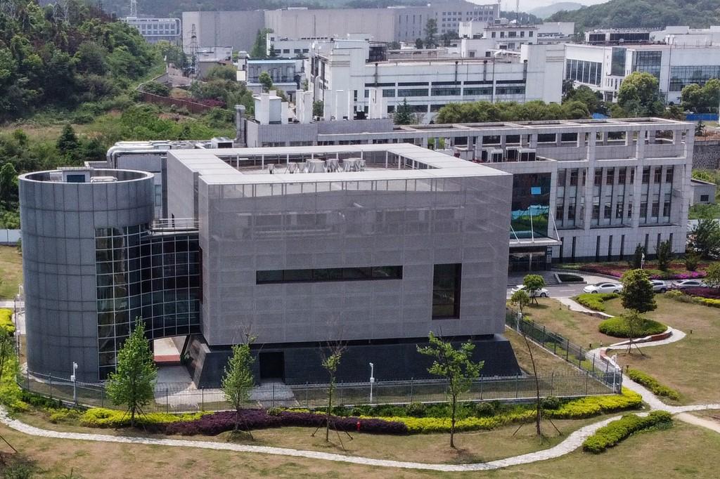 L'Institut de virologie de Wuhan, de classe P-4. [AFP - Hector Retamal]