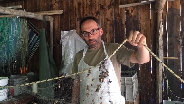 Pierre-Alain Chevalley, pêcheur à Yvonand et son filet où son accrochées des moules Quagga. [RTS - Lucile Solari]