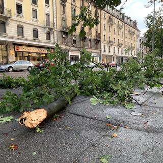 Genève a été balayée par un violent orage jeudi soir. [RTS - Philippe Revaz]