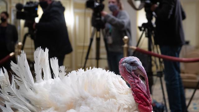 Une cérémonie traditionnelle pour Thanksgiving [AFP - SAUL LOEB]