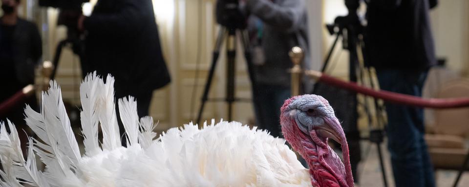 Une cérémonie traditionnelle pour Thanksgiving [AFP - SAUL LOEB]