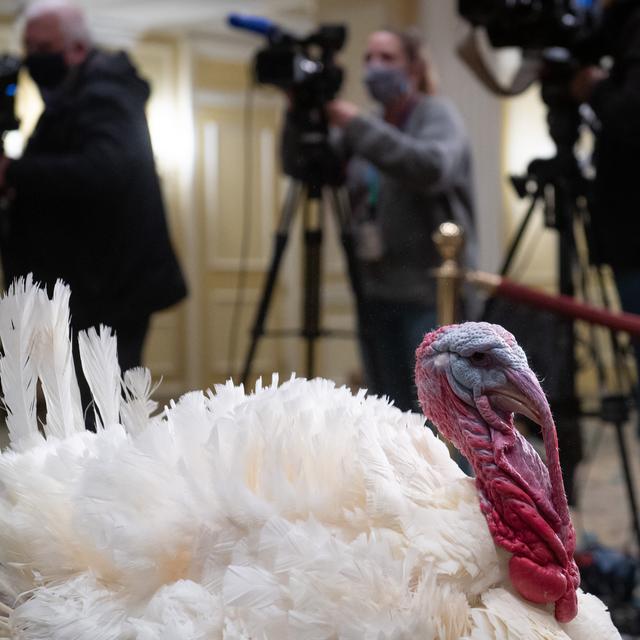 Une cérémonie traditionnelle pour Thanksgiving [AFP - SAUL LOEB]