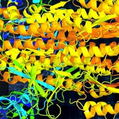 Représentation musicale de la séquence d'acides aminés et de la structure de la protéine de pointe présente à la surface du coronavirus. [Markus J. Buehler]