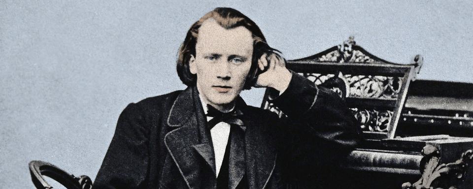 Portrait du compositeur allemand Johannes Brahms. [AFP - Costa/Leemage]