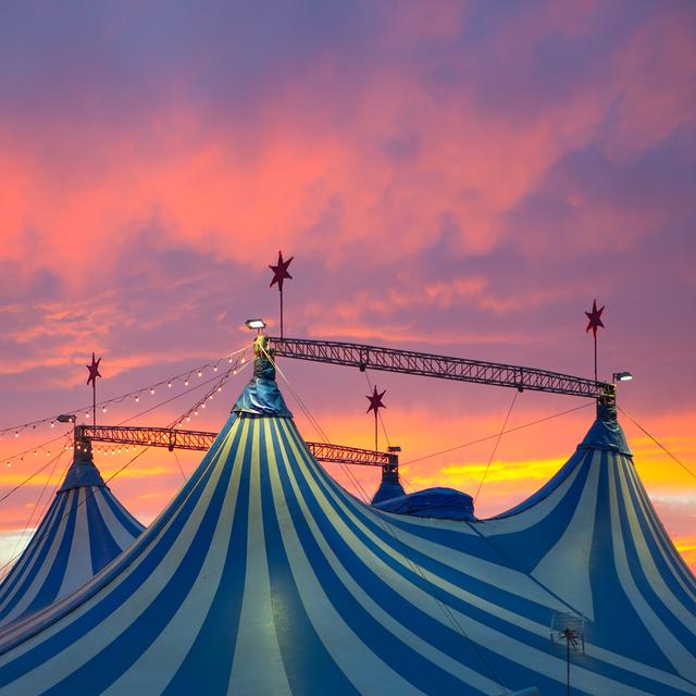 Quel cirque! Tous en piste! [Depositphotos - lunamarina]