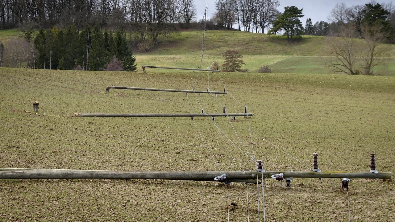 Des poteaux électriques couchés par la tempête Ciara à Courtételle (JU). [Keystone - Anthony Anex]