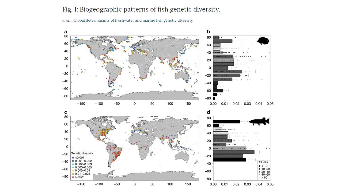 La première carte de la diversité génétique des poissons publiée dans Nature Communications. [EPFZ/Nature]