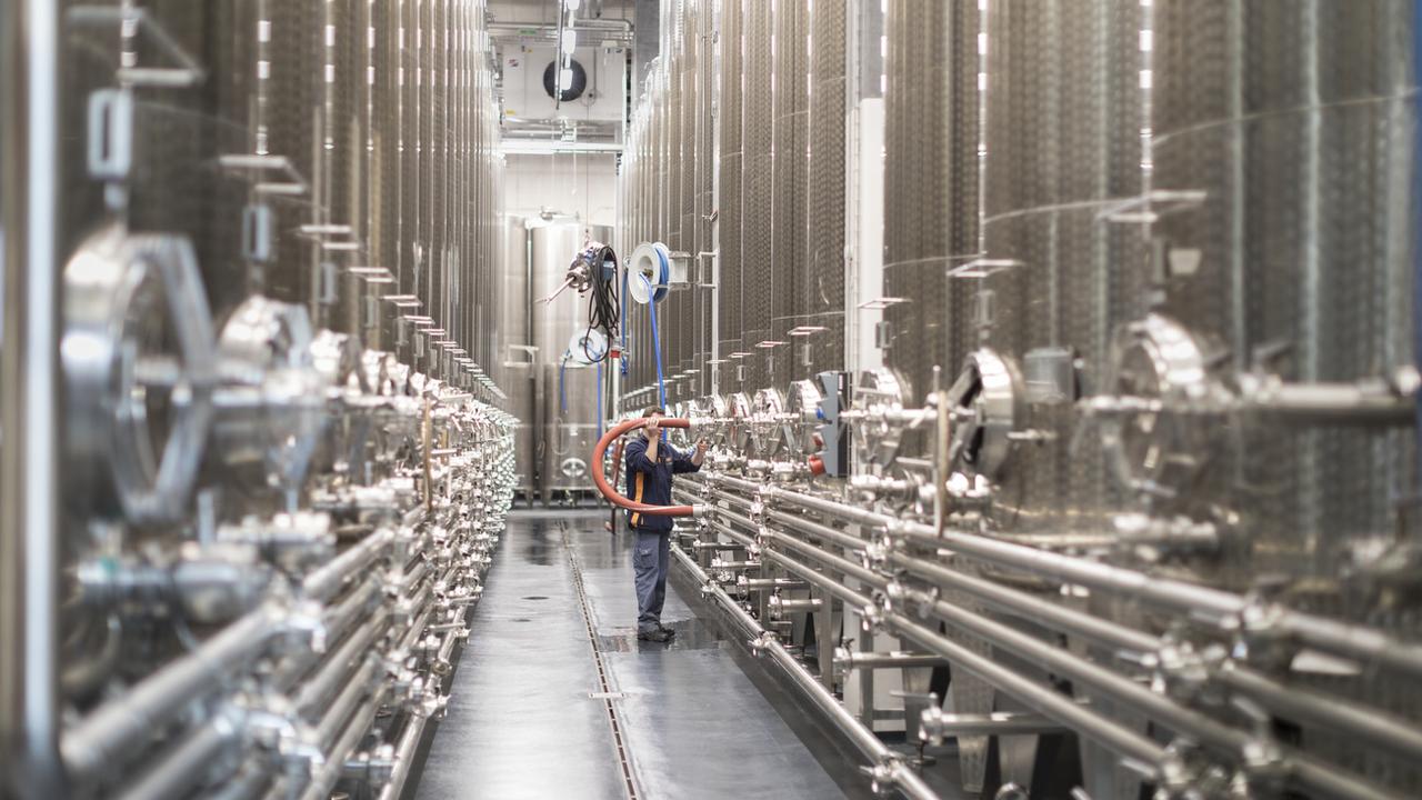 Les stocks de vin de la Coop à Pratteln (BL) s'élèvent à 7,5 millions de litres. [Keystone - Gaetan Bally]