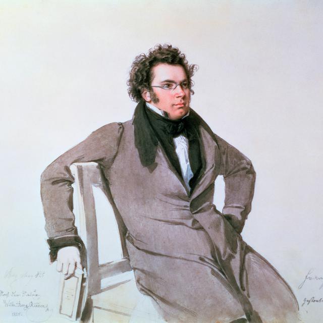 Le compositeur Franz Schubert. [AFP - Leemage]