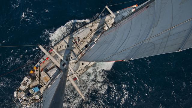 La goélette Tara en 2011.
CHRISTOPH GERIGK/Biosphoto
AFP [CHRISTOPH GERIGK/Biosphoto]