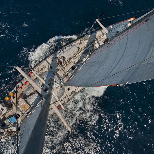 La goélette Tara en 2011.
CHRISTOPH GERIGK/Biosphoto
AFP [CHRISTOPH GERIGK/Biosphoto]