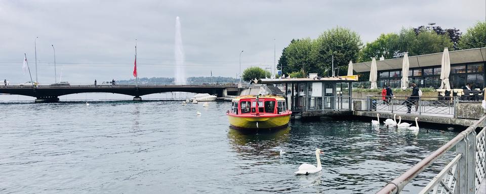 Le quai des Bergues à Genève. [RTS - Karine Vasarino]