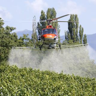 Sulfatage par hélicoptère dans le canton de Genève.
Salvatore Di Nolfi
Keystone [KEYSTONE - Salvatore Di Nolfi]