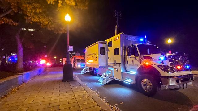 Armé d'une épée, un homme tue deux personnes et fait 5 blessés au Québec. [afp - Jordan Proust]