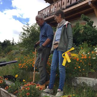 Philippe et Marie-Jo entament la plantation dans leur jardin dʹAyent. [RTS - Isabelle Gendre]