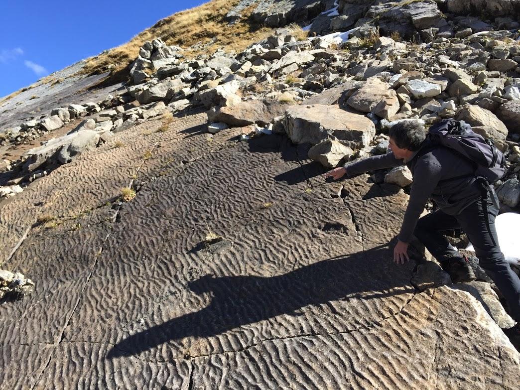 Découverte du site de La Veudale en 2015, à 2400 mètres d'altitude sur des dalles de grès. [Muséum d'histoire naturelle de Genève - A. Muller]