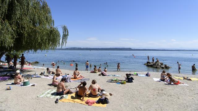 La baignade dans le lac de Neuchâtel est déconseillée suite à la découverte d'une cyanobactérie (image d'illustration). [Keystone - Anthony Anex]