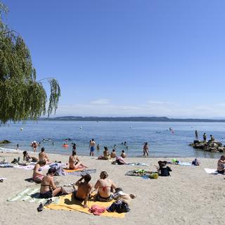 La baignade dans le lac de Neuchâtel est déconseillée suite à la découverte d'une cyanobactérie (image d'illustration). [Keystone - Anthony Anex]