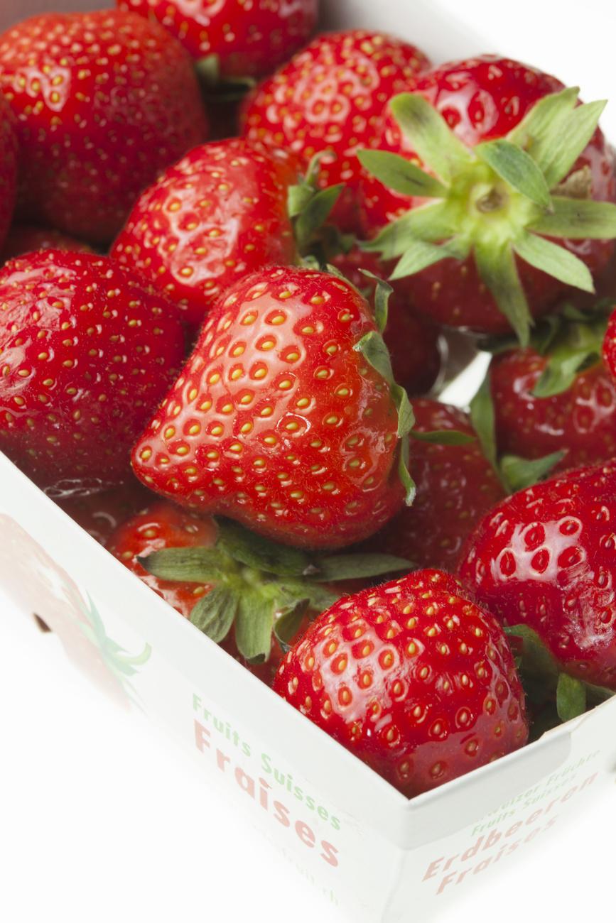 Pour la récolte des fraises – le fruit local occasionnant le plus de travail – quelque 5000 à 6000 travailleurs sont nécessaires. Pour l'ensemble des fruits produits en Suisse, jusqu'à 10'000 personnes peuvent être recrutées, selon Fruit-Union Suisse (FUS). [Keystone - Gaëtan Bally]