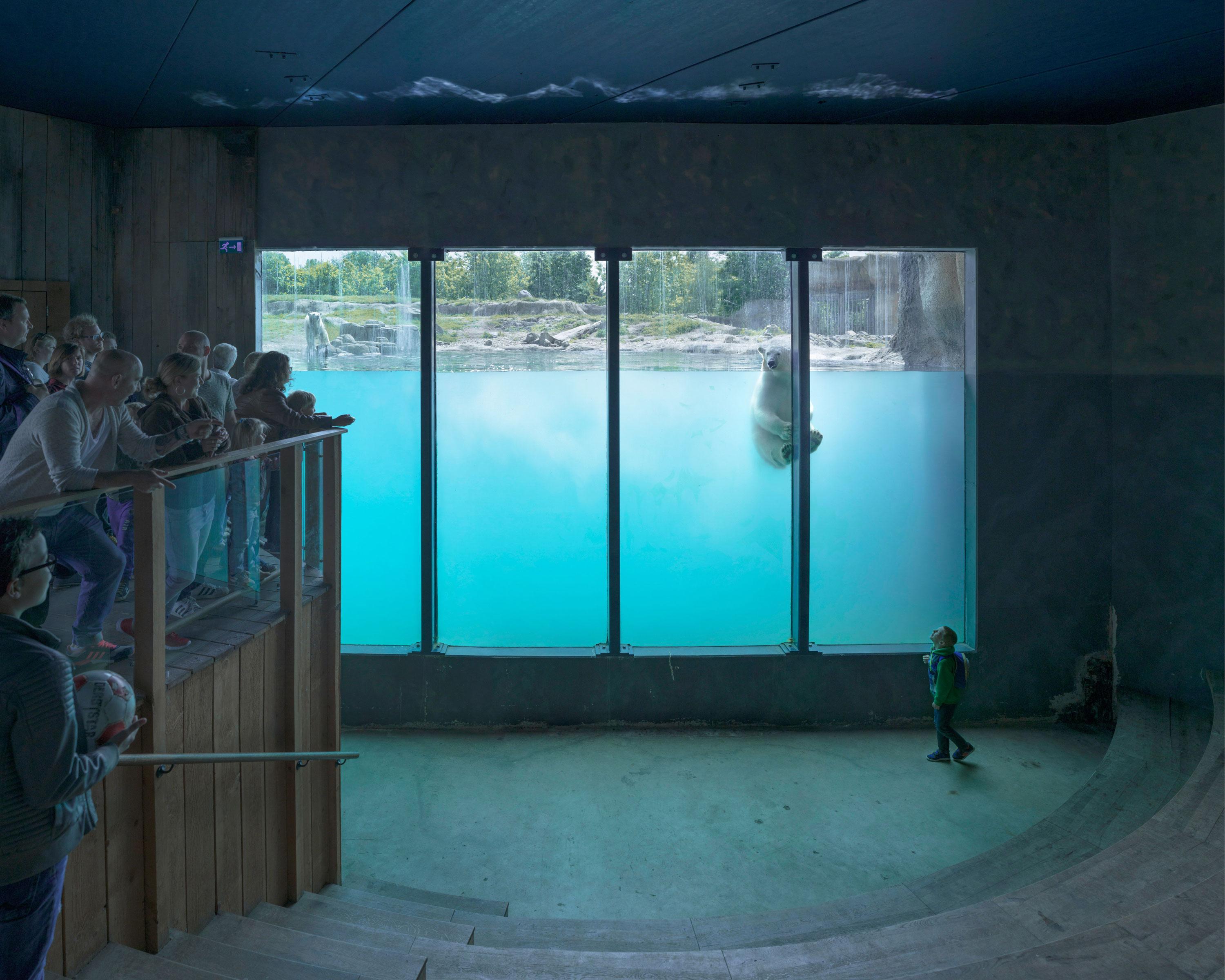 Sheng-Wen Lo, Zoo Blijdorp de Rotterdam, Pays-Bas (2016), de la série White Bear, 2014. [elysee.ch]