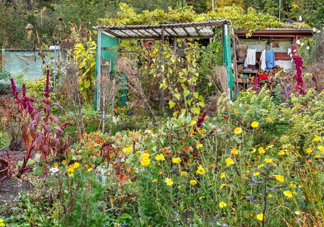 Le jardin choisi par Simonetta Sommaruga [admin.ch]