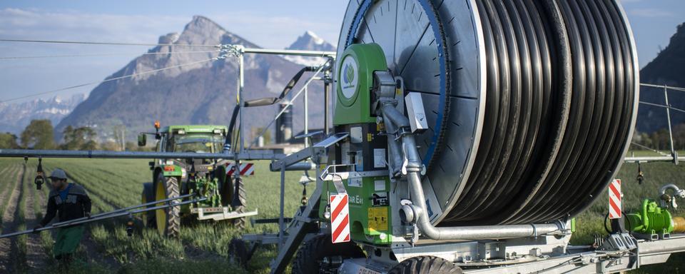 Les agriculteurs doivent déjà commencer à arroser les champs (ici à Baz Ragaz). [Keystone - Gian Ehrenzeller]