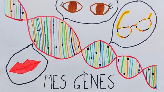 "La génétique", un dessin réalisé par Maiwenn. [Maiwenn]