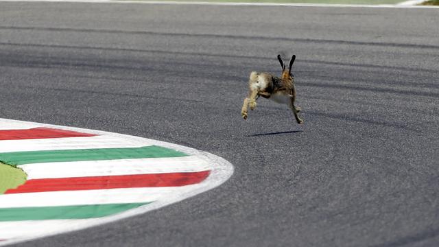 Le circuit du Mugello accueillera la Formule 1 le 13 septembre à l'occasion du Grand Prix de Toscane. [Gregorio Borgia]