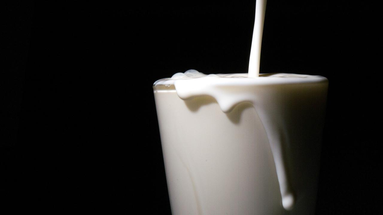 A l'âge du bronze, le lait améliorait les chances de survie. [KEYSTONE/DPA - Sebastian Gollnow]