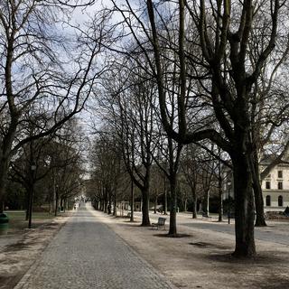 Une vue de la promenade du parc des bastions à Genève. [RTS - Pauline Rappaz]