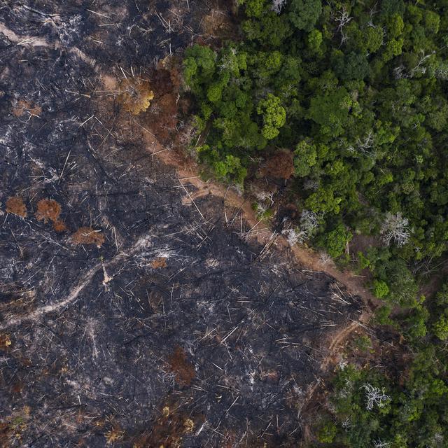 Une zone de la forêt amazonienne incendiée au Brésil. [Keystone/AP Photo - Leo Correa]
