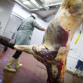 Une carcasse de cheval dans une boucherie. [AP Photo/Keystone - Gero Breloer]