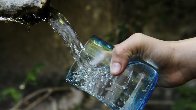 La Ville de Lausanne a sorti du réseau d'eau potable l'un de ses groupes de captages. En cause: une présence de chlorothalonil à un niveau "très légèrement supérieur" à la nouvelle norme en vigueur. (image d'illustration) [Keystone/EQ images - Manu Friederich]