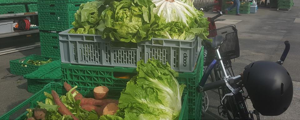 Des légumes du marché distribués gratuitement. [DR]