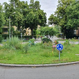 Le rond-point végétalisé de la Bühlplatz, à Berne. [RTS - Xavier Bloch]