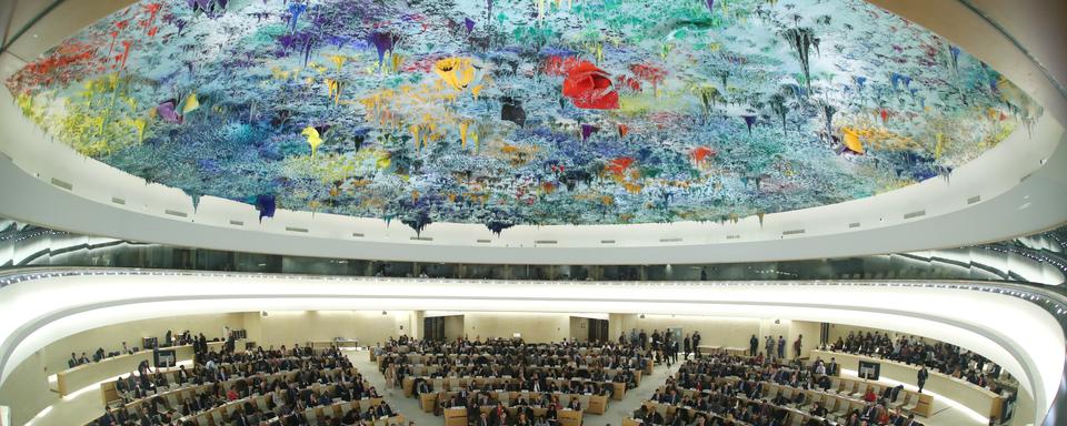 La salle du Conseil des droits de l'homme des Nations unies au Palais des Nations à Genève, en février 2020 [Reuters - Denis Balibouse]