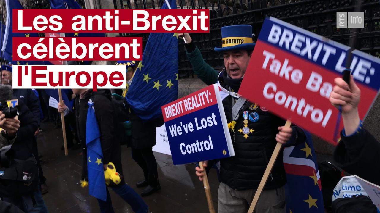 Les anti-Brexit rassemblés autour de Steve Bray rêvent déjà à un retour dans l'Union européenne.