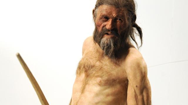 Une reconstitution de ce à quoi Ötzi pouvait ressembler. Museo Archeologico dell'Alto Adige, Bolzano, 2011. [Keystone/apa - Robert Parigger]