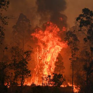 Des feux et des incendies de forêt ont ravagé l'Australie. [AFP - Peter Parks]