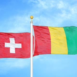 Les drapeaux de la Suisse et de la Guinée. [Depositphotos - AleksTaurus]