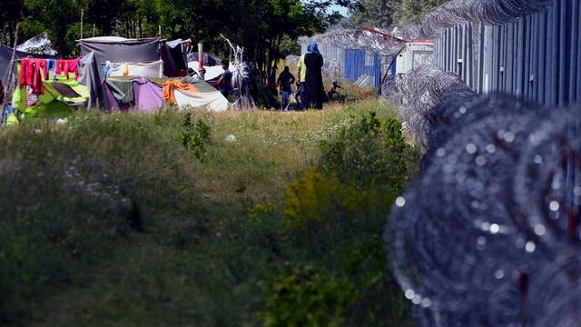 Une vue du camp de Röszke, dans la "zone de transit" entre la Hongrie et la Serbie. [AFP - Csaba Segesvari]