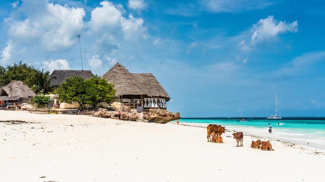 Vue d'une plage à Zanzibar. [Depositphotos - GekaSkr]